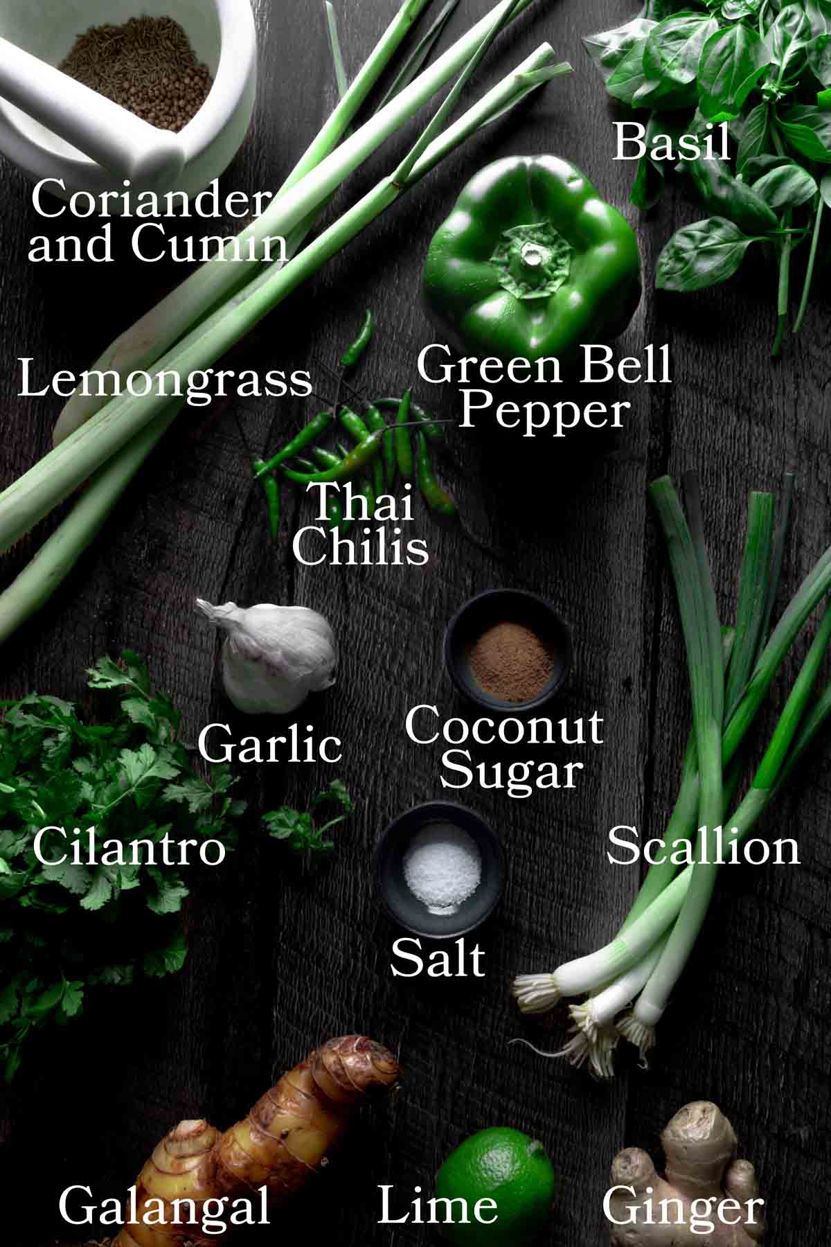 This photo shows all the ingredients needed to make the easy, vegan Thai green curry recipe with labels