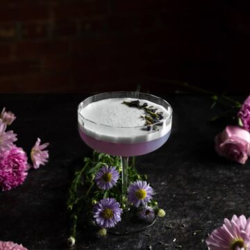 Lavender Gin Sour in a coupe