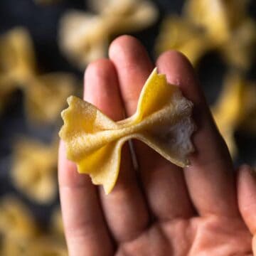 A hand holding a single farfalle pasta noodle made from semolina pasta dough