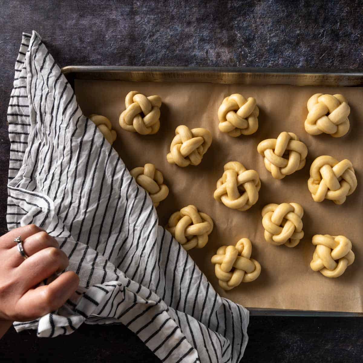Braided challah dough rolls being covered with a damp kitchen towel to proof. 