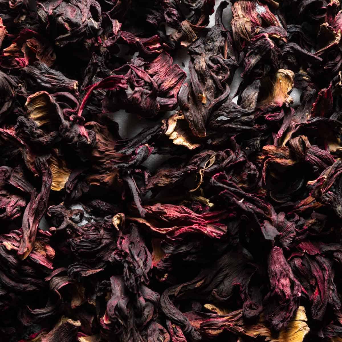 A close-up image of dried hibiscus flowers
