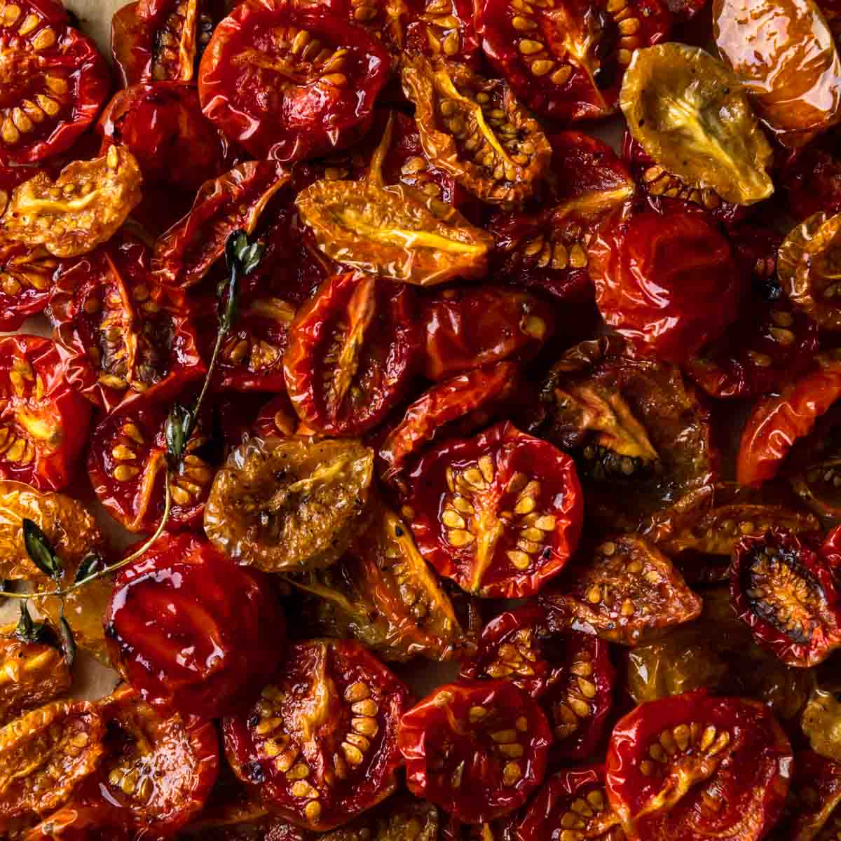 A close up image of oven roasted cherry tomatoes