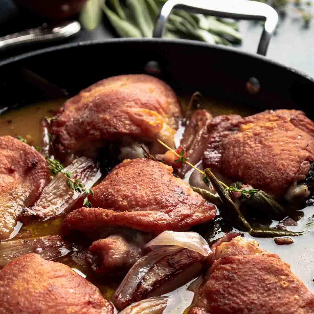 Cider braised chicken thighs in the pan