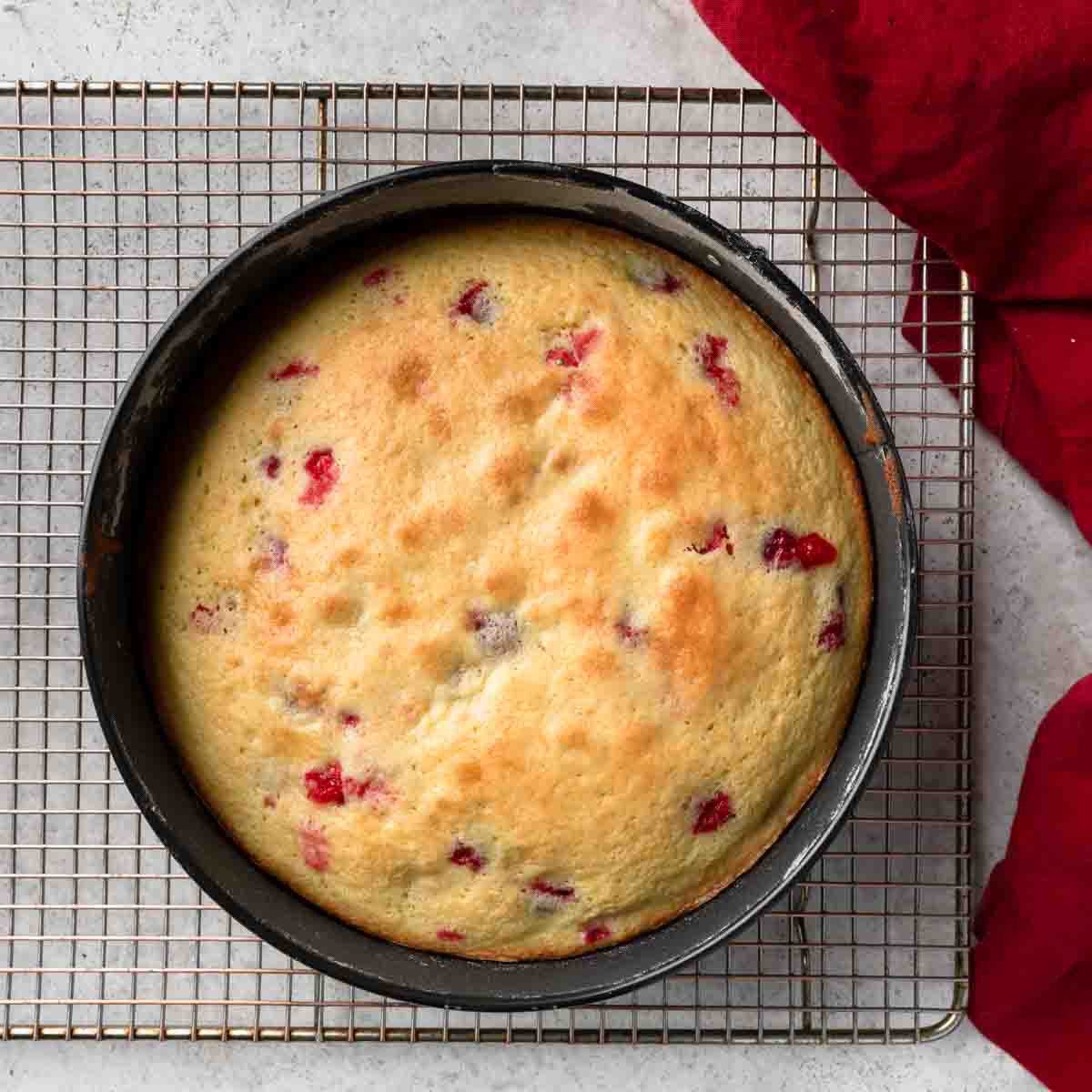 A baked orange cranberry Christmas cake in a round cake pan. 