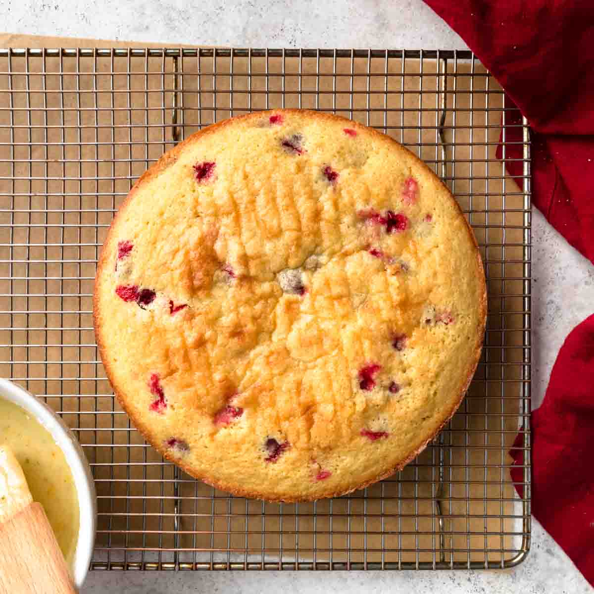 A single layer cranberry cake cooling on a wire baking rack. 