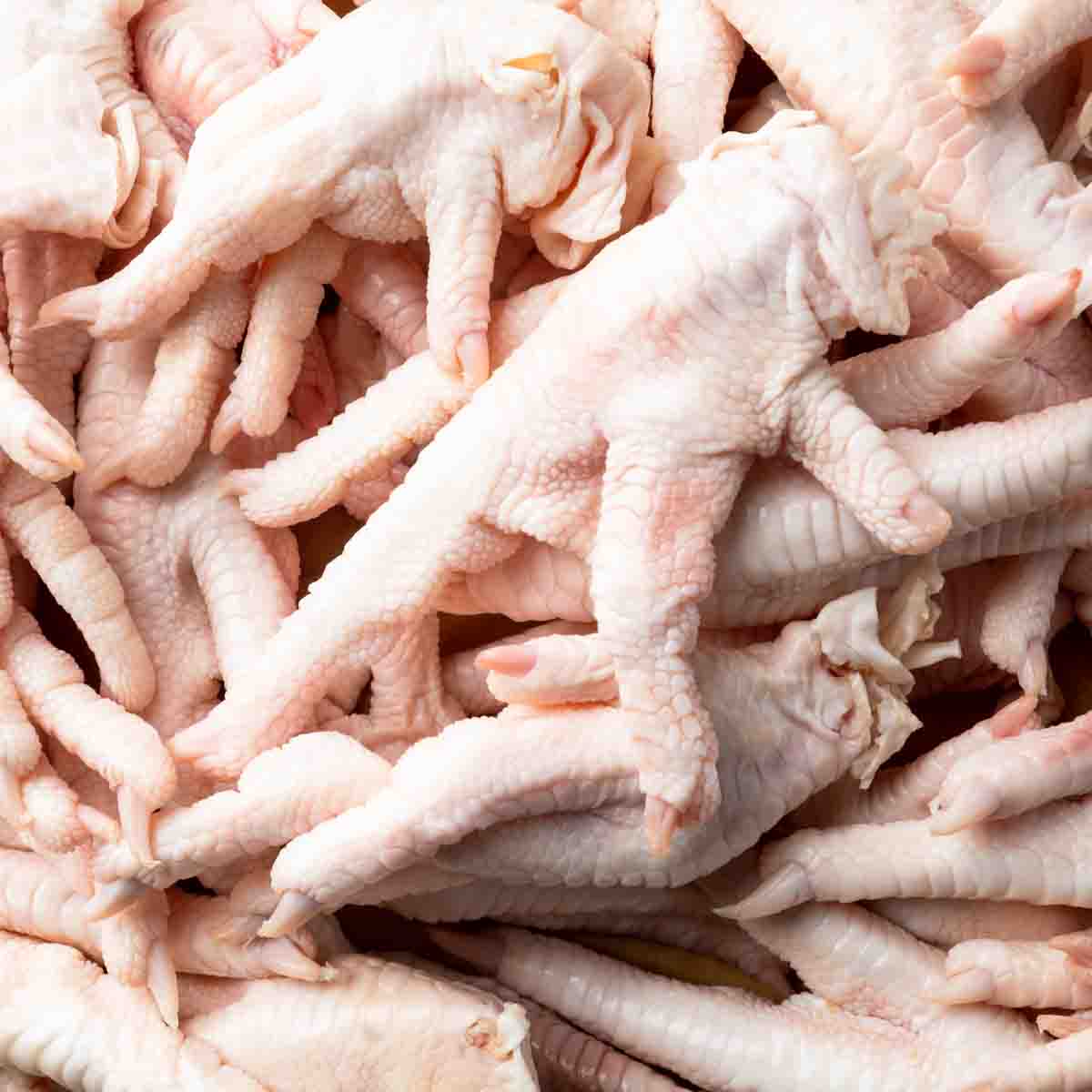 A close up of chicken feet.