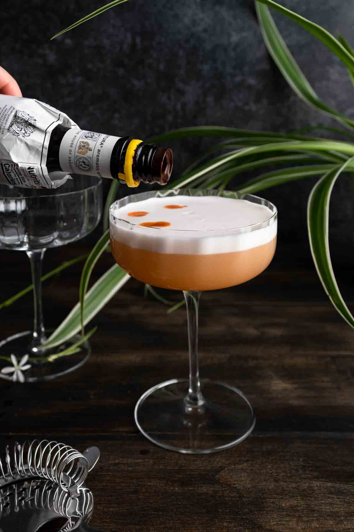 Dashing droplets of Angostura bitters on the frothy egg white layer of a sour cocktail.