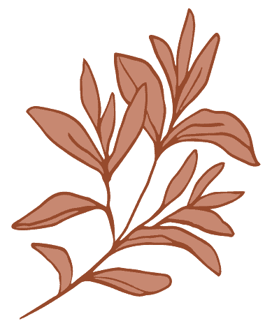 The Sage Apron red sage leaf logo.