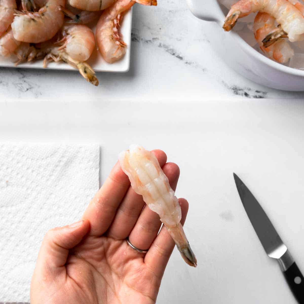 A hand holding a properly cleaned tail-on shrimp. 