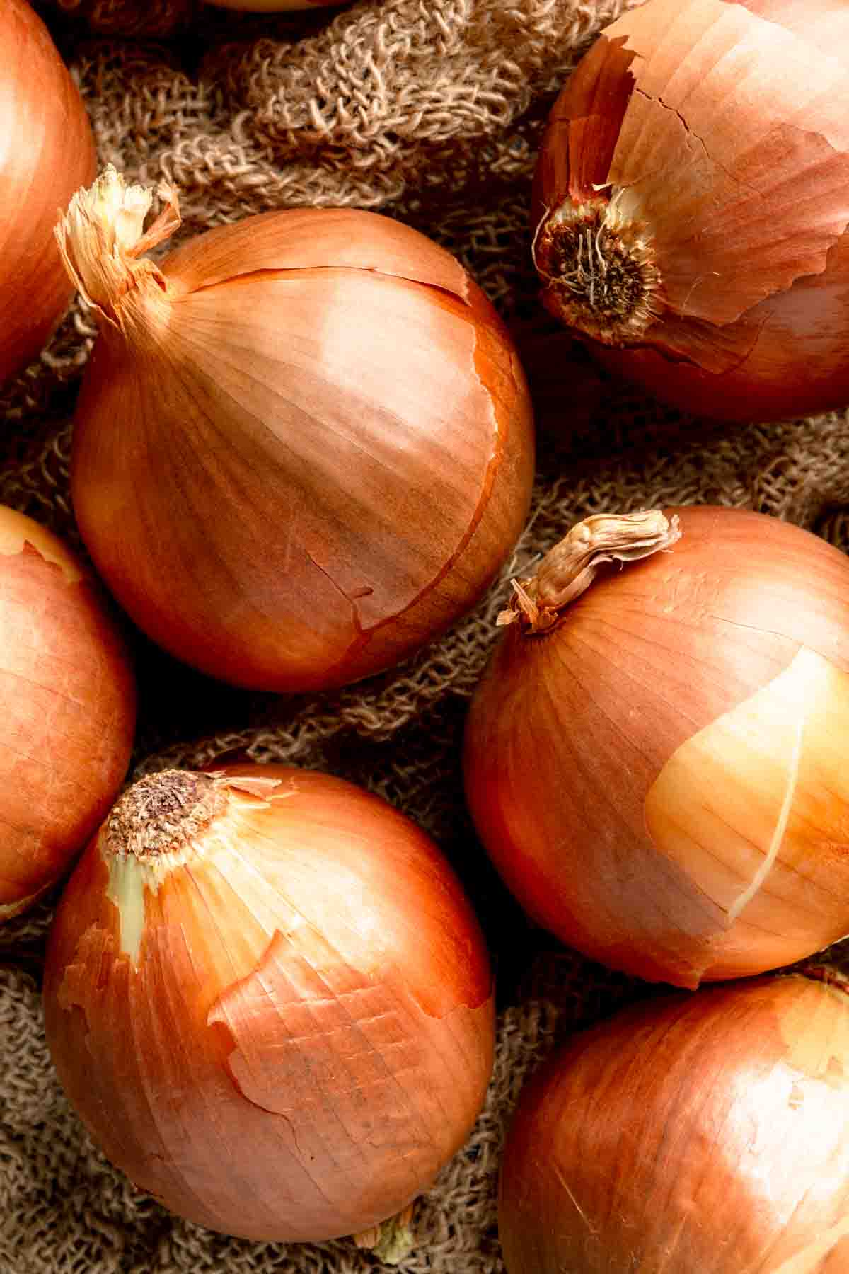 A close up image of yellow onions on a burlap sack. 